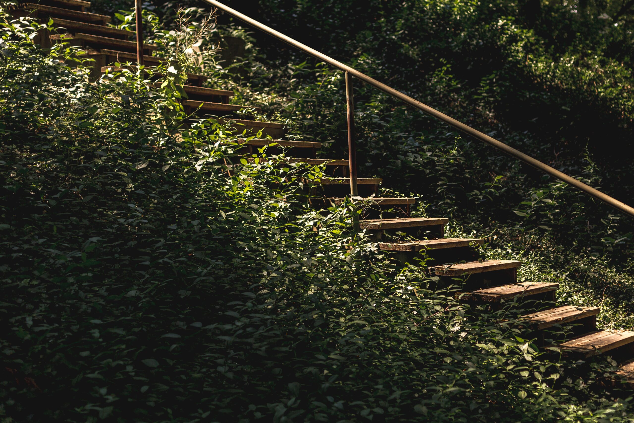 Your Guide to Conquering the Chedoke Stairs in Hamilton, Ontario