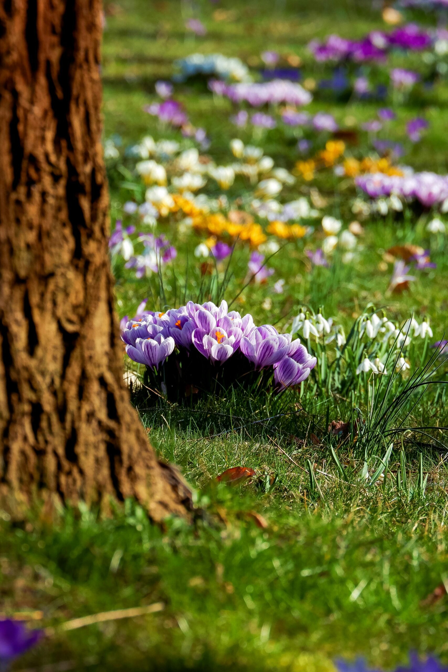 Why I’m Cutting Back on Added Sugar During Pregnancy (And How I’m Doing it Realistically)